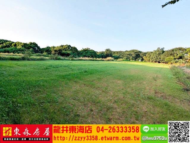 台中龍井旱-4