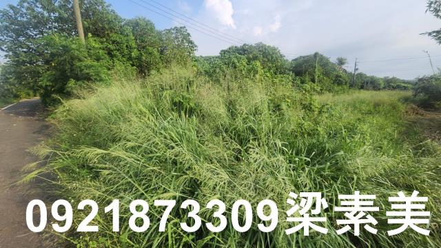 歸仁農地-4
