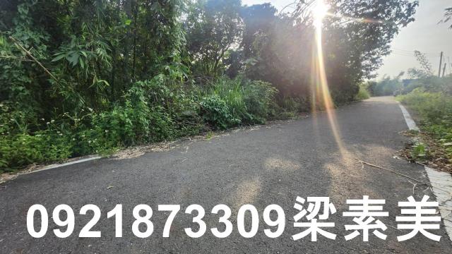 歸仁農地-8