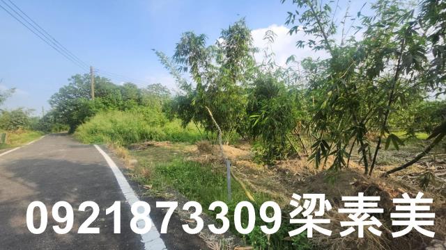 歸仁農地-9