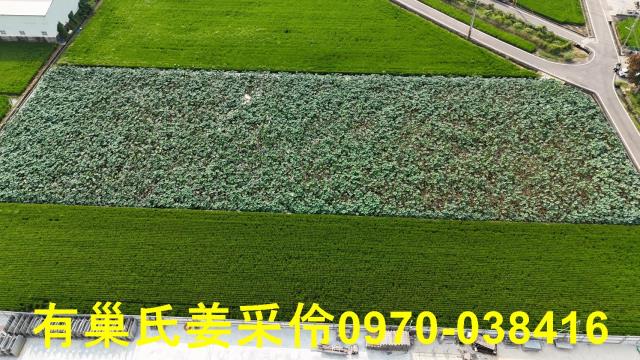 民雄農地-2