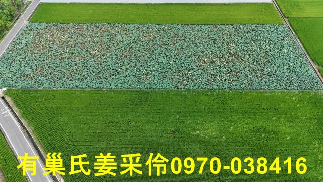 民雄農地-3