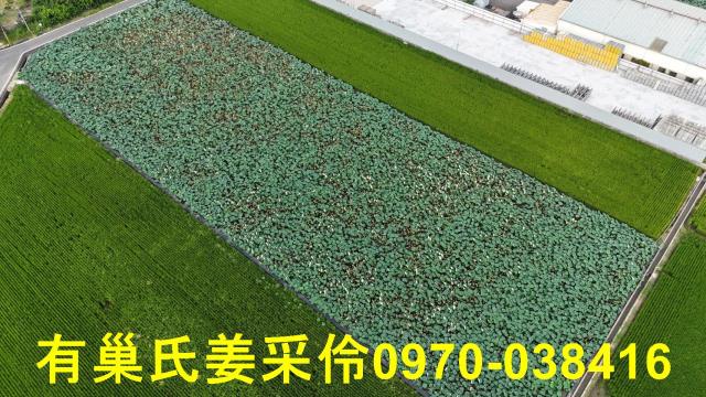 民雄農地-5