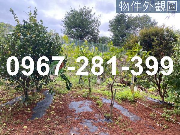 頭份農地-6
