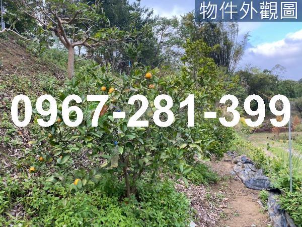 頭份農地-8
