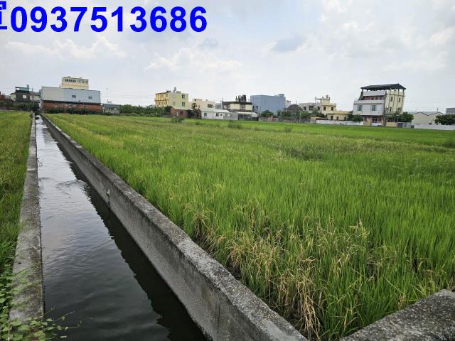 花壇農地-15