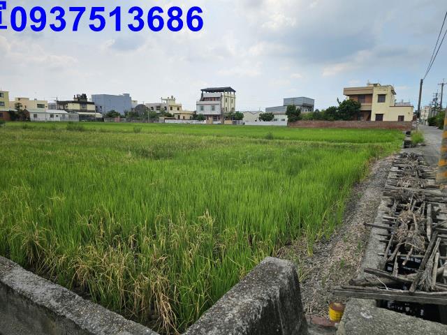 花壇農地-1