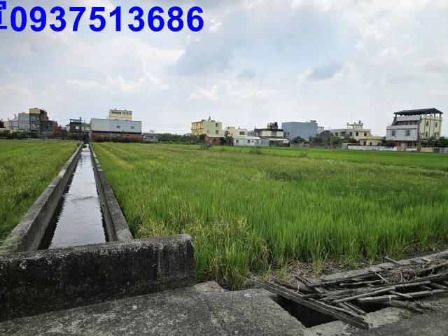 花壇農地-2