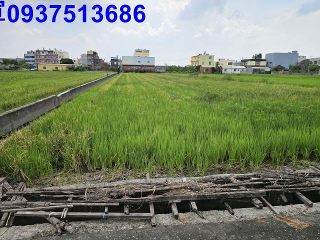花壇農地-4