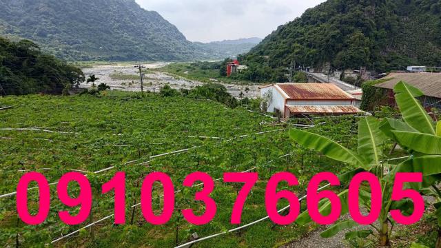 台中農地-2