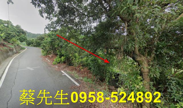 霧峰法拍農地-4