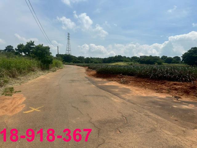 沙鹿農地-5