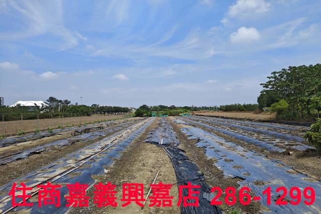 嘉義農地-3