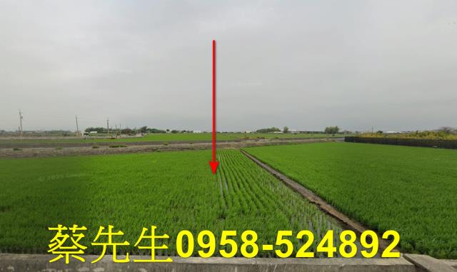彰化竹塘農地法拍-9