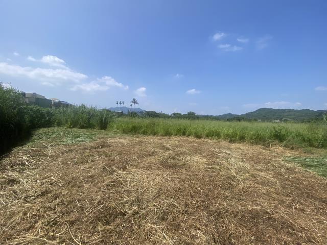 集集農地-1