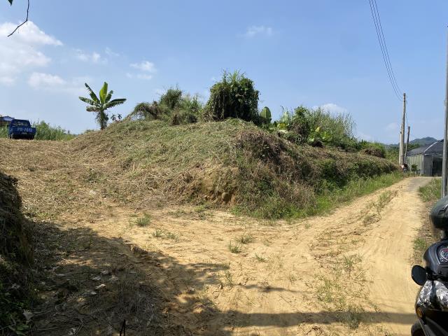 集集農地-4