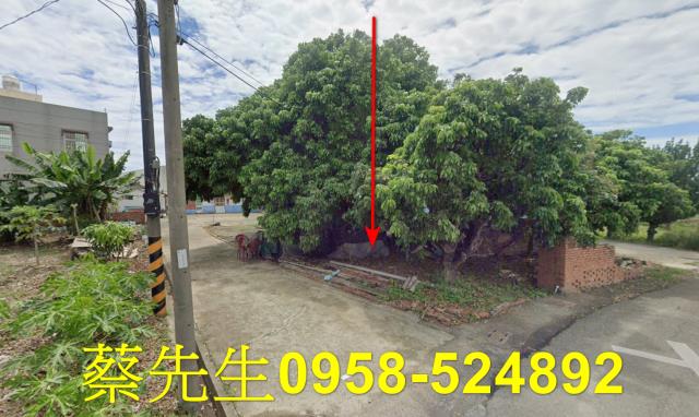 嘉義法拍建地-9