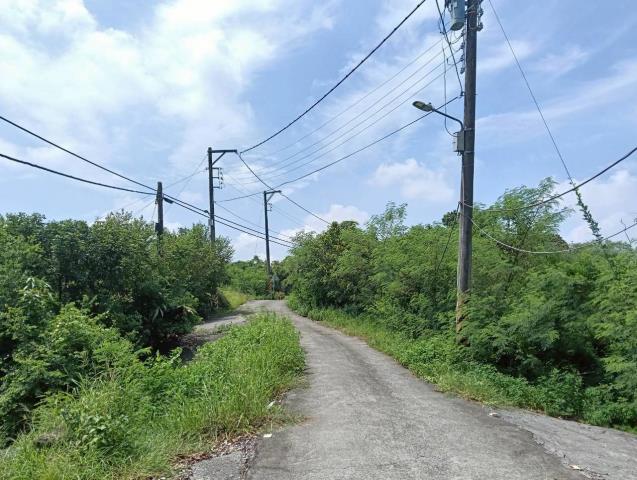 新化農地-1