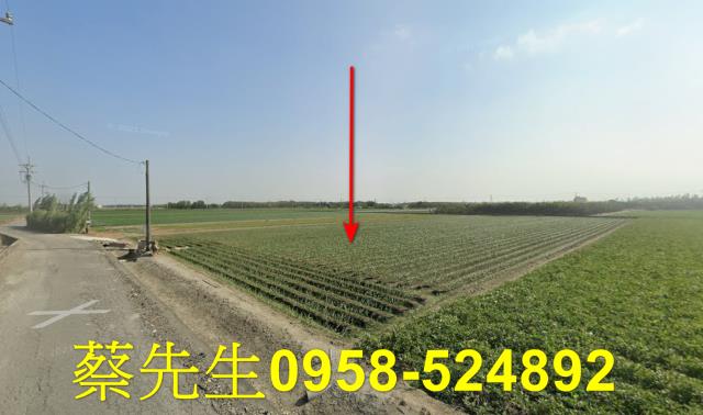 東勢鄉農地拍賣-4