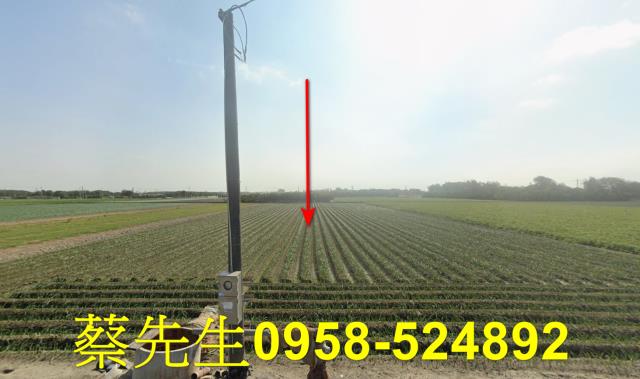 東勢鄉農地拍賣-9