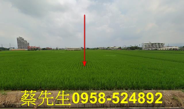 斗六農地拍賣-1