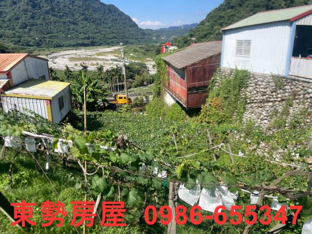 新社農地-10