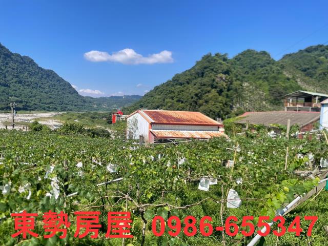 新社農地-1