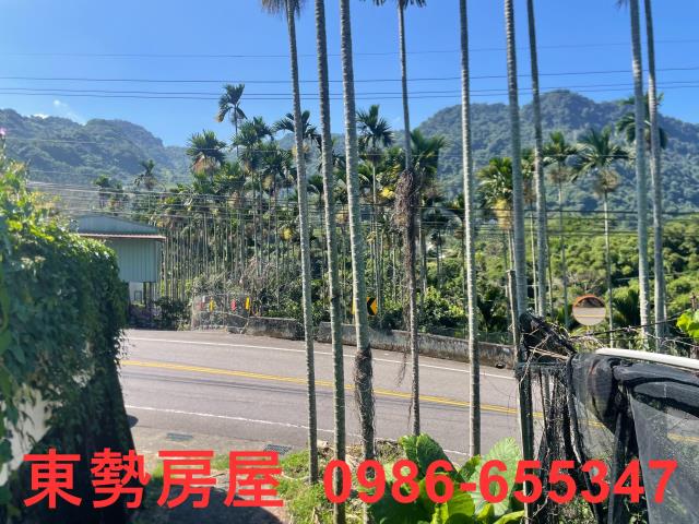 新社農地-3