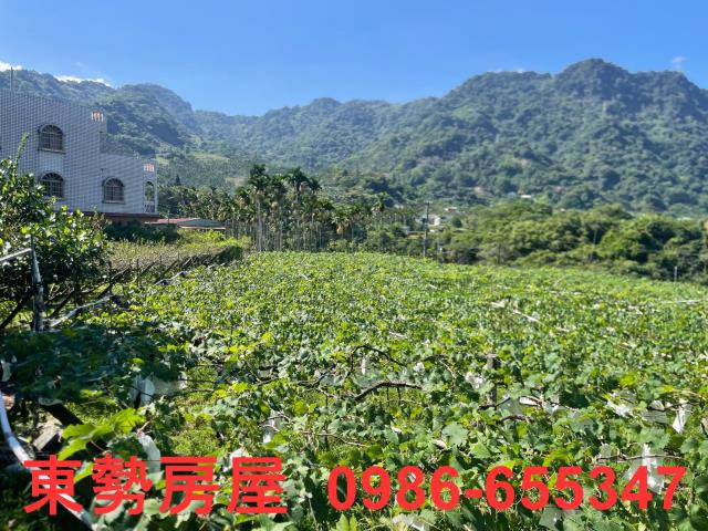 新社農地-5