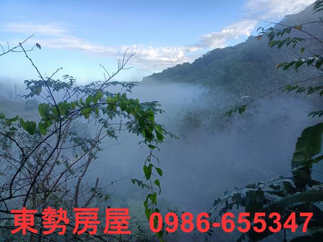 東勢農地-10