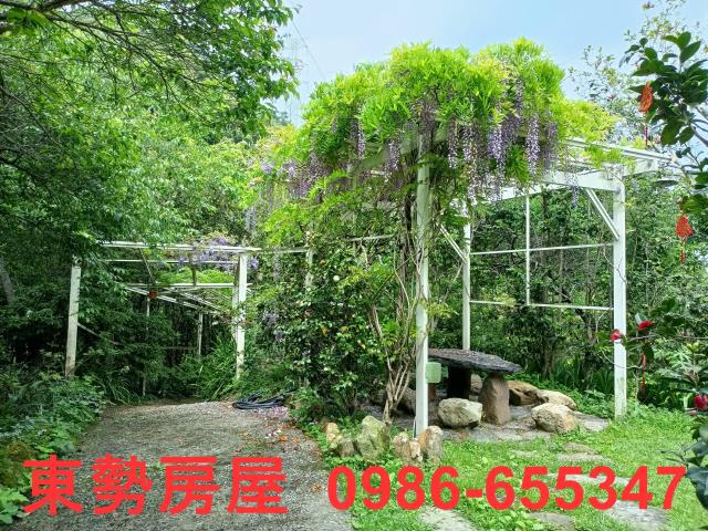 東勢農地-11
