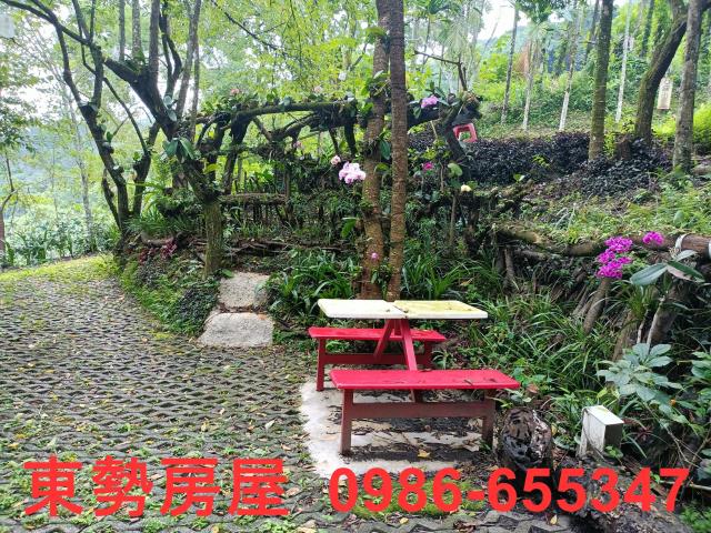 東勢農地-4