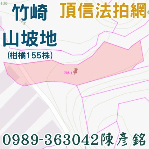 嘉義竹崎農地法拍-3