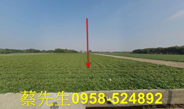雲林水林法拍農地-9