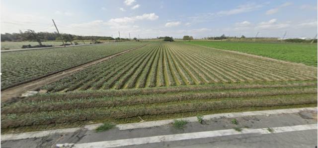 雲林法拍農地-9