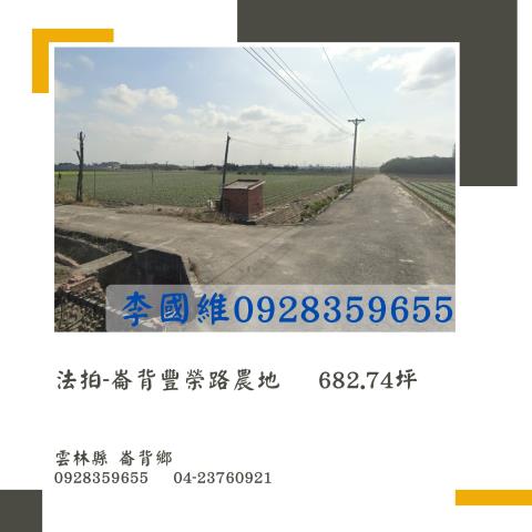 崙背法拍農地-1