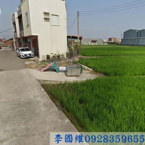 大安區農地法拍-2