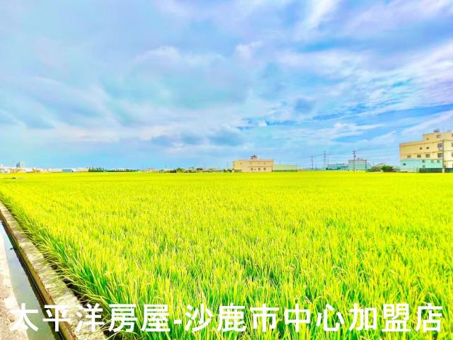 台中農地-3