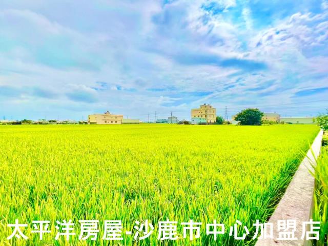 台中農地-4