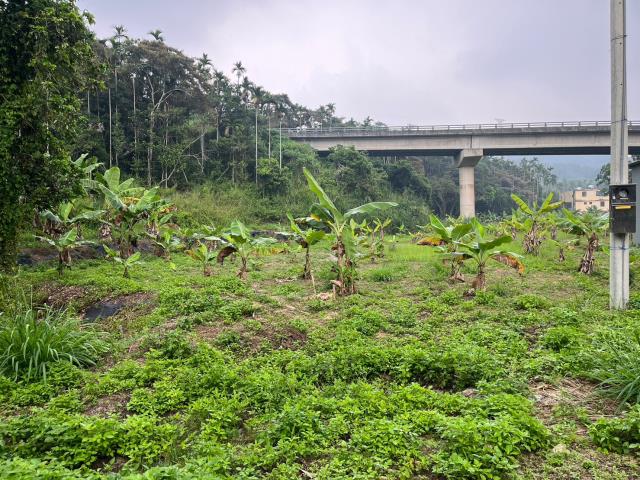 中寮農地-10
