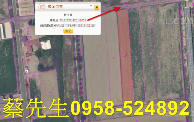 台南農地法拍-11