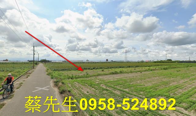 台南農地法拍-5