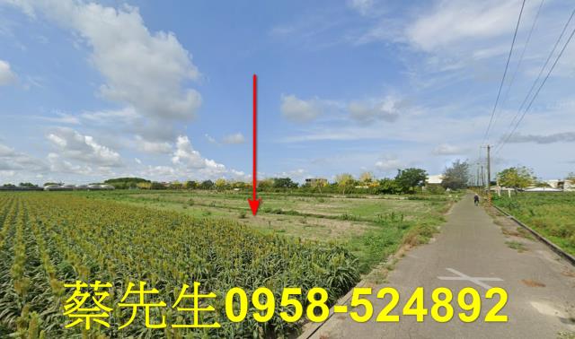 台南農地法拍-6