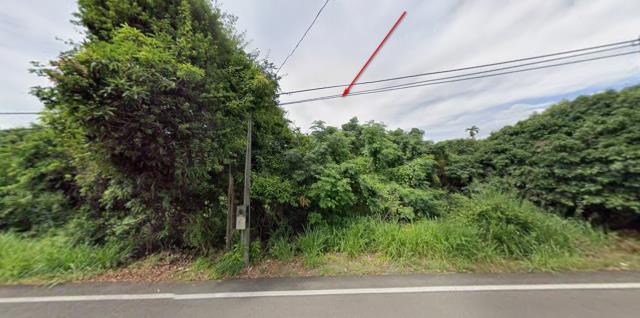 台中拍賣種菜地-9