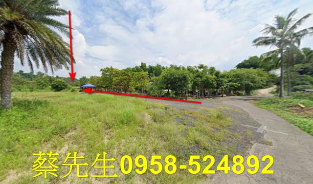 大內法拍農地-10