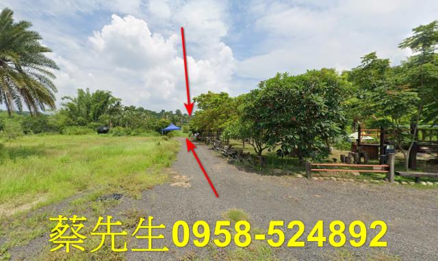 大內法拍農地-13