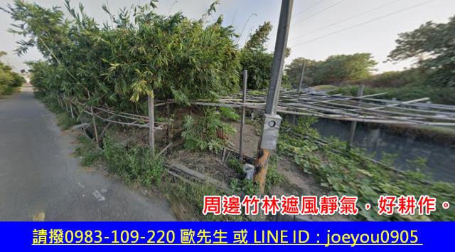 雲林土庫拍賣農地-3