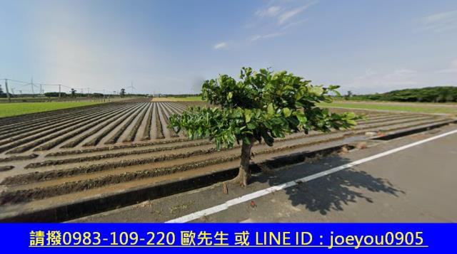 崙背法拍農地-10