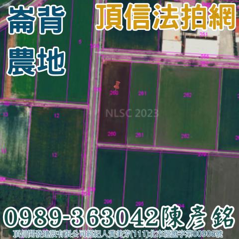 崙背農地法拍-3