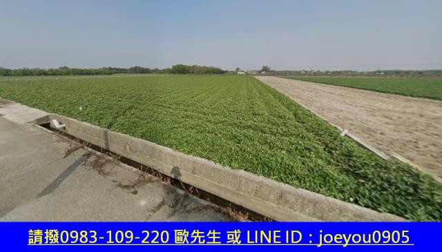雲林法拍農地-10